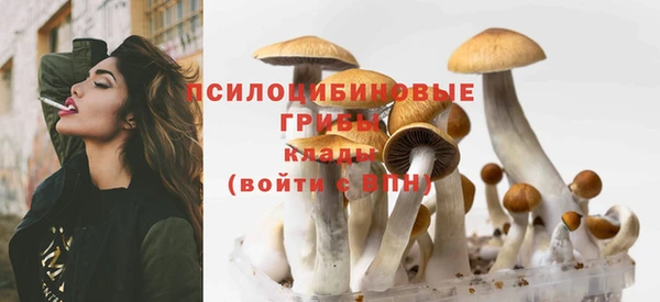 амф Абаза