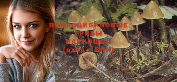 ALPHA PVP Абдулино