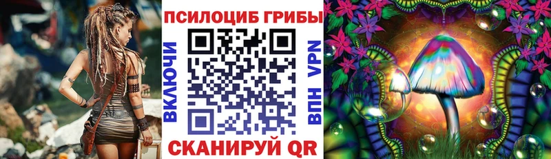 Псилоцибиновые грибы GOLDEN TEACHER где купить Камень-на-Оби